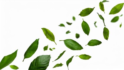 collection of random green leaves falling in the air isolated on white background