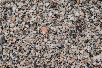 small sea stone pebble background. Multicolored abstract