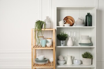 Different clean dishware and houseplants on shelves in cabinet indoors. Space for text