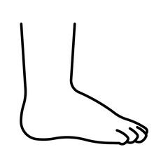 Children's foot, line icon. One kids leg, fingers, heel, ankle, instep, side view. Toddler foot pictogram. Linear illustration, outline vector, editable strokes