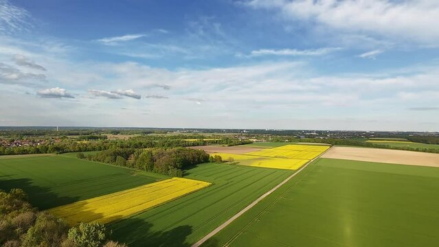 Aerial view of a green and yellow raps field with trees under a cloudy sky 4K FPV drone view Hanover Seelze Germany 