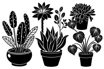 different-kinds-of-small-plants vector illustration