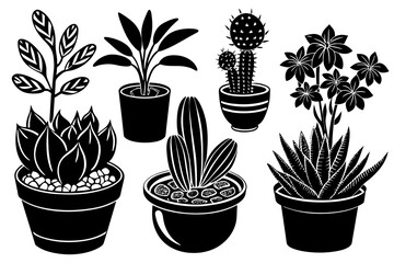 different-kinds-of-small-plants vector illustration