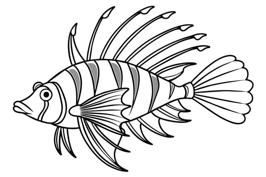 black and white lionfish drawing clip art preview
