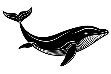  whale-silhouette-vector-illustration 