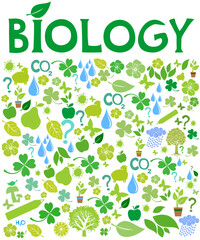 Biology. Science. Biology colorful illustration with doodle icons, biological images and objects. Colorful kid children education concept. Presentation, website. Interesting creative funny Biology