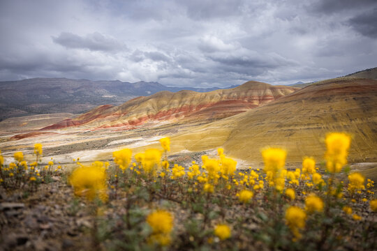 Beautiful and colorful landscape of the Painted Hills in Eastern Oregon, near John Day.
