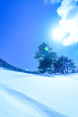 青空と新雪のゲレンデ