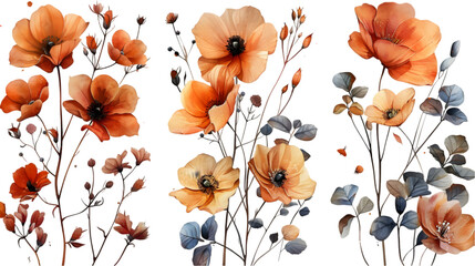 Watercolor Fall Dry Flowers Clipart Isolated PNG