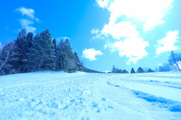 青空と新雪のゲレンデ