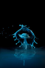 drops of colored water falling, colliding with each other forming figures