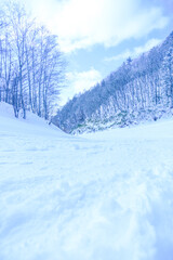 青空の林間コース、晴れた日のゲレンデ