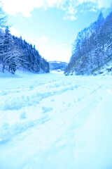 青空の林間コース、晴れた日のゲレンデ
