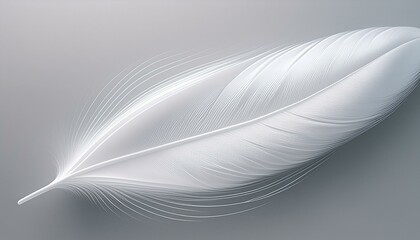 A detailed macro shot of a single white feather against a soft gray background, showcasing