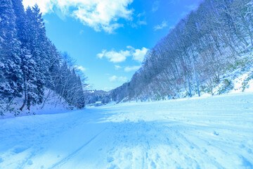 青空の林間コース、晴れた日のゲレンデ