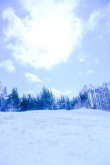 青空と新雪のゲレンデ
