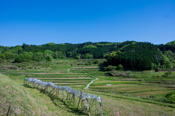 Fototapeta na wymiar 日本の岡山県美咲町の棚田の美しい風景