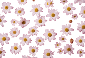 Diagonal Pattern of Varied White Flowers isolated on transparent background