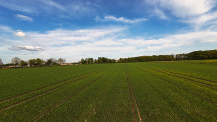 Green grass field with blue sky, clouds, and trees in the background 4K FPV drone view Hanover Seelze Germany 