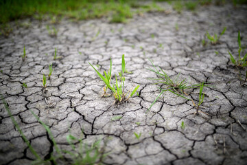 Muster Hintergrund für Trockenheit und Klimawandel in der Natur. Landwirtschaft zeigt Risse im lehmigen Erdboden.