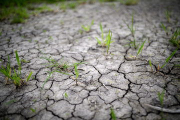 Muster Hintergrund für Trockenheit und Klimawandel in der Natur. Landwirtschaft zeigt Risse im Lehmboden.