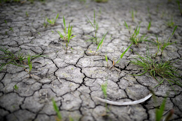 Muster Hintergrund für Trockenheit, Dürre und Klimawandel in der Natur. Landwirtschaft zeigt...