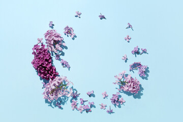Lilac on a blue background. Beautiful fresh flowers. Cosmetic circle podium and lilac on light pink background. Flat lay.Top view.
