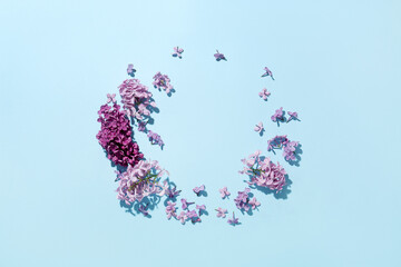 Lilac on a blue background. Beautiful fresh flowers. Cosmetic circle podium and lilac on light pink background. Flat lay.Top view.