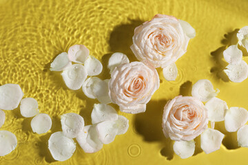 Beautiful roses and petals in water on pale yellow background, top view