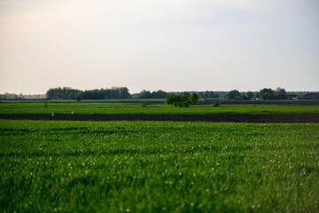 landscape Poland 