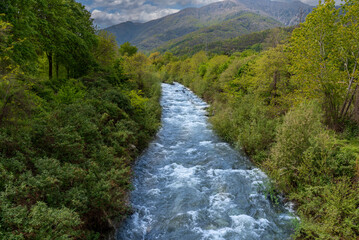 The river Po flows through the woods at Paesana, Italy, 20 km from its source at the foot of Mount...