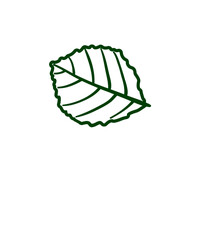 Vector autumn elements ,pumpkin, nut, ,house, shoe, leaf, umbrella design 