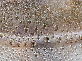 Water bubbles abstract colorful background, water drops macro as natural background.