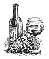Fototapeta premium Hand drawn illustration wine glass and bottle. Sketch drawing for winery or restaurant menu
