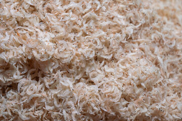 Dried small shrimps at the fish market - Qingdao Seafood Market,China