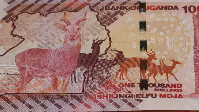 1000 Ugandan shilling national currency money legal tender banknote bill 2
