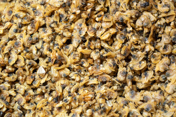 Close-up on dried clams in a local supermarket