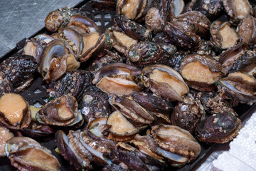 Close up of fresh abalone at the fish market - Qingdao Seafood Market,China