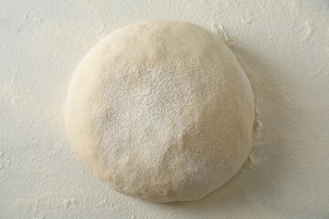 Fresh raw homemade dough on table, top view