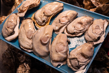 Oyster for sale on seafood market