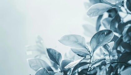 Organize a professional conference with the Creative template of a technology expo