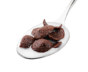 Breakfast cereal. Chocolate corn flakes and milk in spoon isolated on white