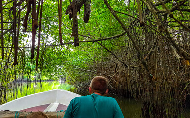 Boat safari through mangrove jungle Bentota Ganga River Bentota Beach Sri Lanka.