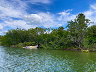 Half sunken submerged boat at the shore with tall trees