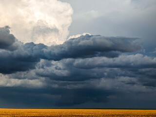 Supercell thunderstorm with tornado producing wall cloud near Lakin, Kansas.
