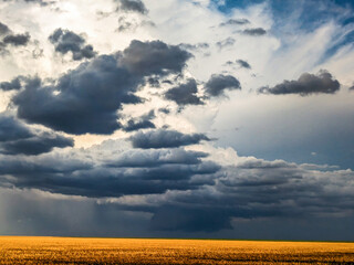 Supercell thunderstorm with tornado producing wall cloud near Lakin, Kansas.
