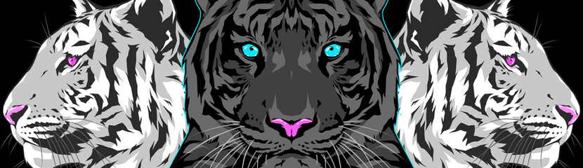 3 tigers illustration 