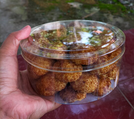 Fototapete bei efototapeten.de bestellen   