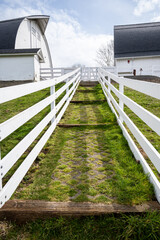 Pastoral background, looking up grass path between white wooden fences up to two white barns
