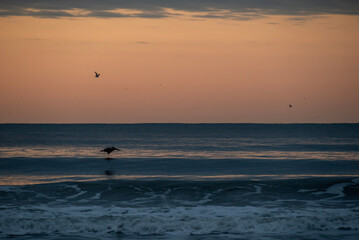Fototapeta premium sunrise at sea
